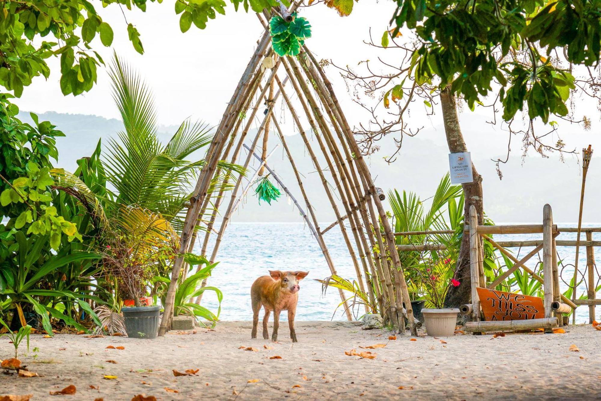 Hotel Isla - The Island Experience à El Nido Extérieur photo